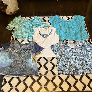 Stylish Women's Blue and White Tops Collection